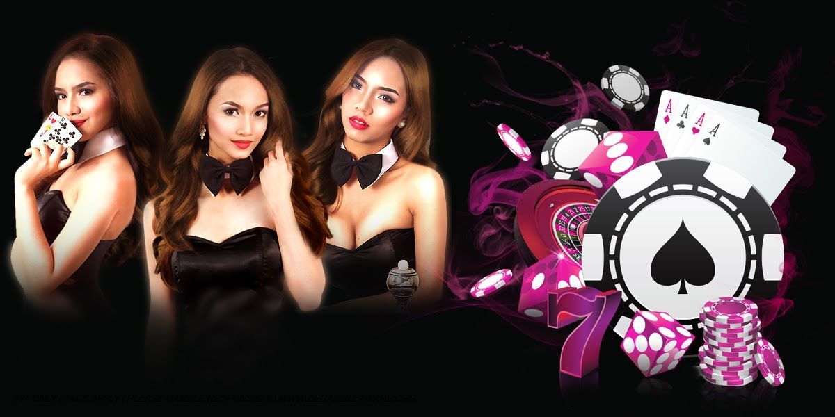 net bet Live Casino
